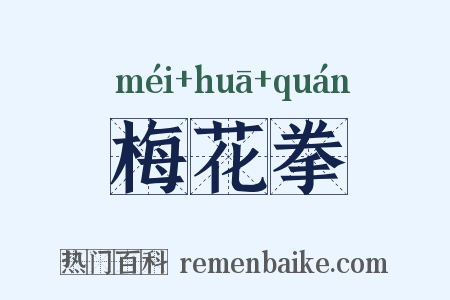 梅花拳是什么意思的图片